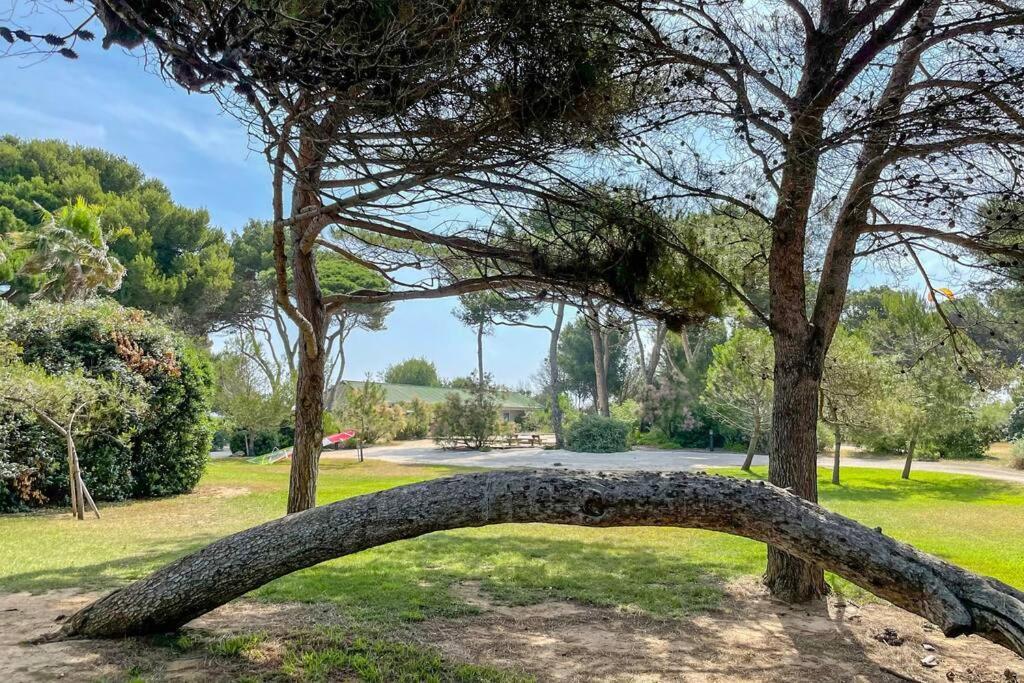 Appartement En Residence Privee, Face A La Mer Avec Acces Direct Plage Hyères Zewnętrze zdjęcie