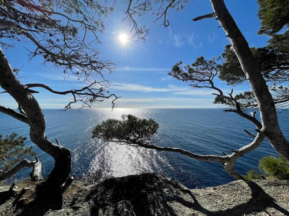 Appartement En Residence Privee, Face A La Mer Avec Acces Direct Plage Hyères Zewnętrze zdjęcie